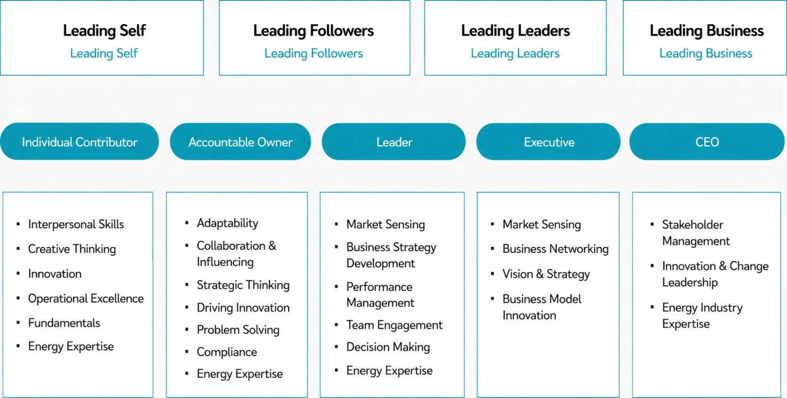 Stepwise talent development framework — Leading Self (Individual Contributor) / Leading Followers (Accountable Owner) / Leading Leaders (Leader, Executive) / Leading Business (CEO), with the core competencies required at each level